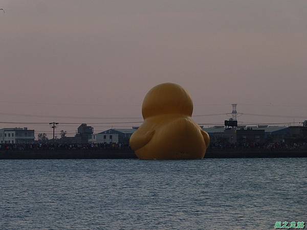 黃色小鴨20131027.JPG 黃色小鴨20131027.JPG