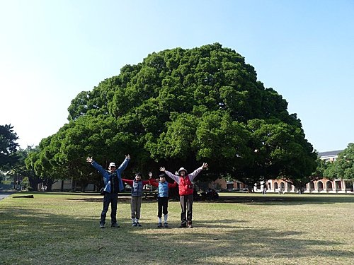 20110123 成大榕園2A 20110123 成大榕園2A