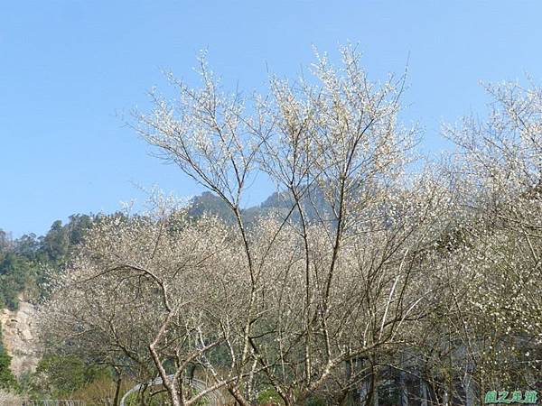 野馬敢山20140111(1) 野馬敢山20140111(1)