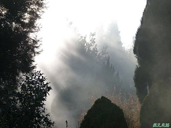野馬敢山20140111(76) 野馬敢山20140111(76)