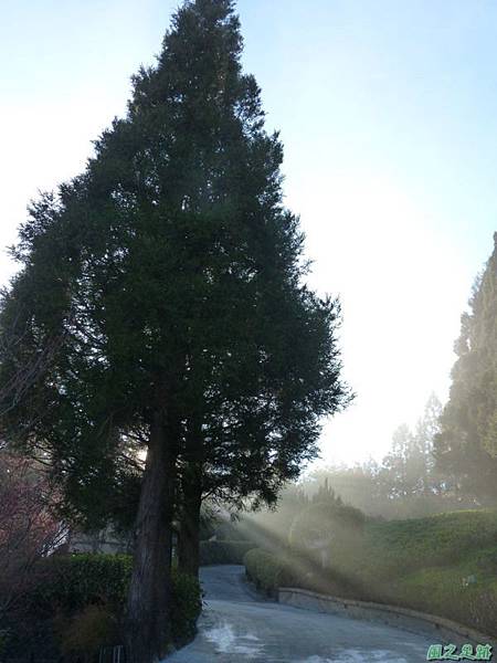 野馬敢山20140111(80) 野馬敢山20140111(80)