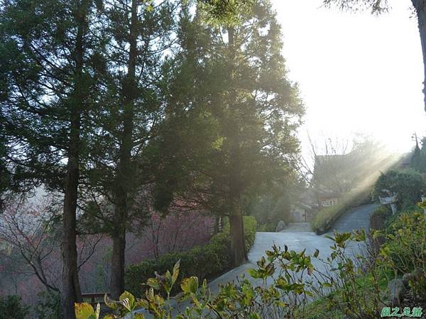 野馬敢山20140111(82) 野馬敢山20140111(82)