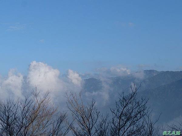 野馬敢山20140111(83) 野馬敢山20140111(83)