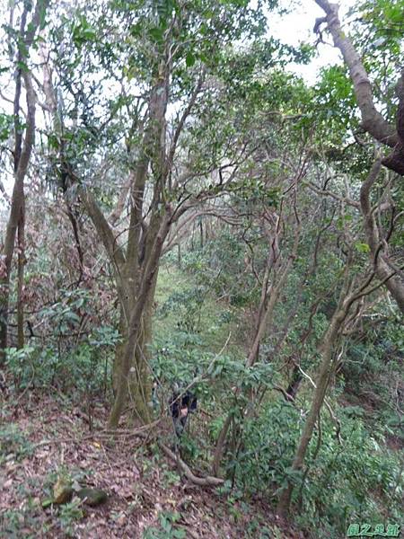 赤山2014018(102) 赤山2014018(102)