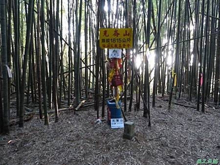 光崙山20140124(64) 光崙山20140124(64)
