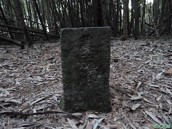 光崙山20140124(85) 光崙山20140124(85)
