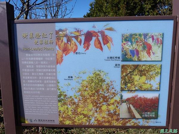 對高岳20140125(1) 對高岳20140125(1)