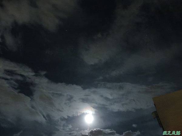 賞月20140514(18) 賞月20140514(18)