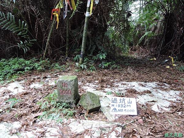 過坑山20140809(18) 過坑山20140809(18)