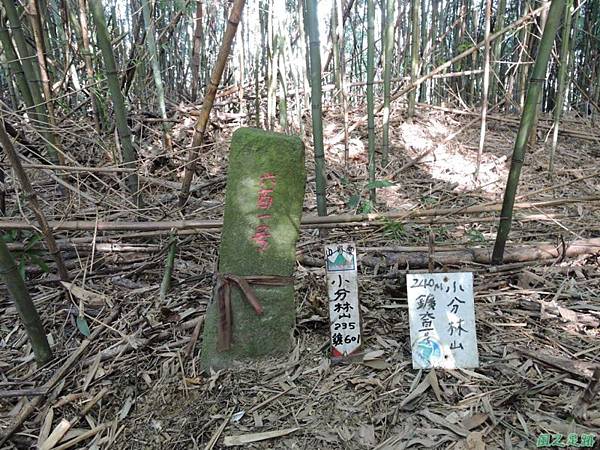 二寮神木(北埔山行)20141005(19) 二寮神木(北埔山行)20141005(19)