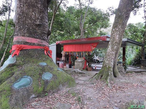 二寮神木(北埔山行)20141005(109) 二寮神木(北埔山行)20141005(109)