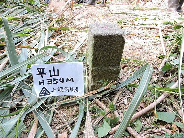 平山20141129(34) 平山20141129(34)
