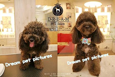 cats (3).jpg cats (3).jpg