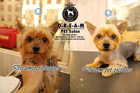 cats (5).jpg cats (5).jpg