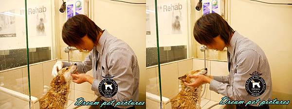 cats (8).jpg cats (8).jpg