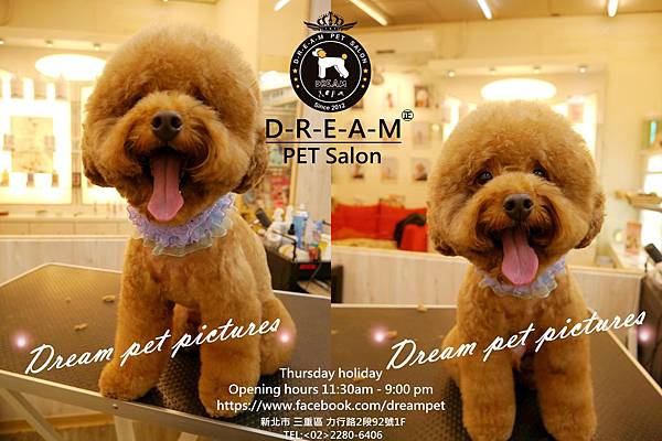 cats (9).jpg cats (9).jpg