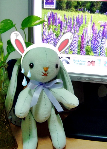 DSC00002.JPG DSC00002.JPG