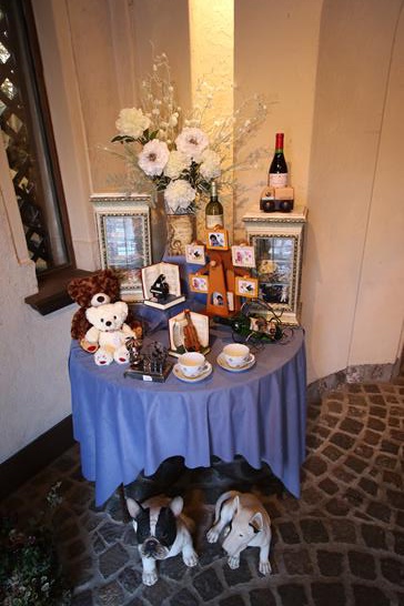 3W8A8504 (Copy).JPG 3W8A8504 (Copy).JPG