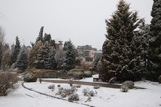 3W8A8413 (Copy).JPG 3W8A8413 (Copy).JPG