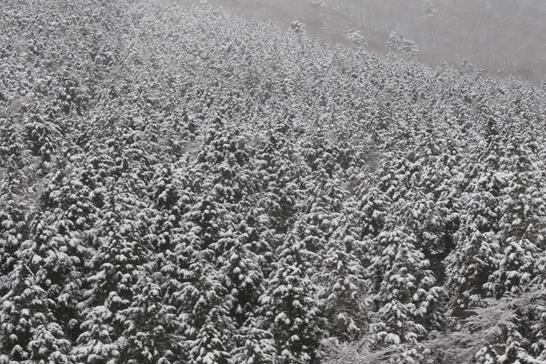 3W8A8367 (Copy).JPG 3W8A8367 (Copy).JPG