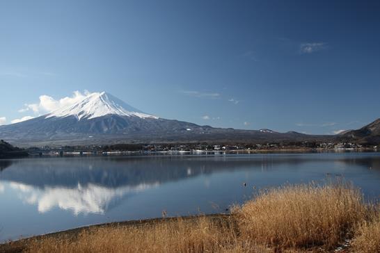 3W8A8689 (Copy).JPG 3W8A8689 (Copy).JPG