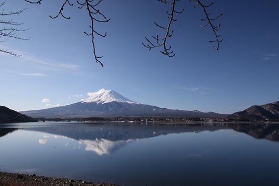 3W8A8675 (Copy).JPG 3W8A8675 (Copy).JPG