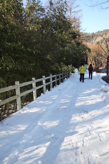 3W8A8672 (Copy).JPG 3W8A8672 (Copy).JPG