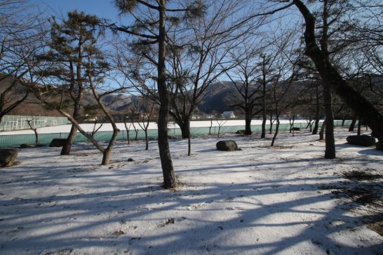 3W8A8661 (Copy).JPG 3W8A8661 (Copy).JPG