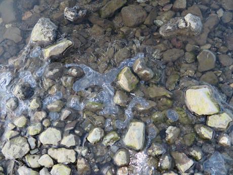 IMG_0313n (Copy).JPG IMG_0313n (Copy).JPG