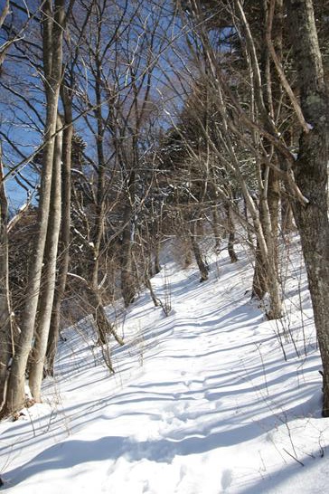 3W8A8756 (Copy).JPG 3W8A8756 (Copy).JPG