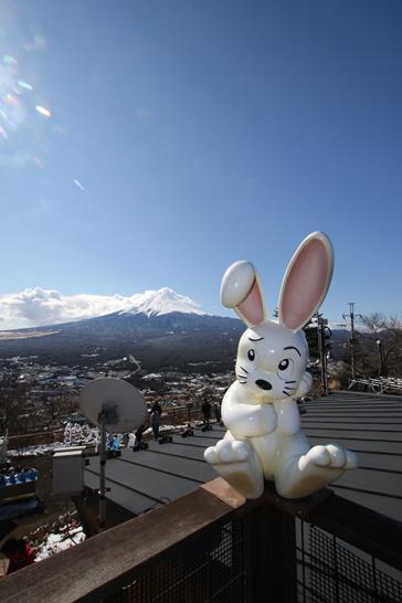 3W8A8730 (Copy).JPG 3W8A8730 (Copy).JPG