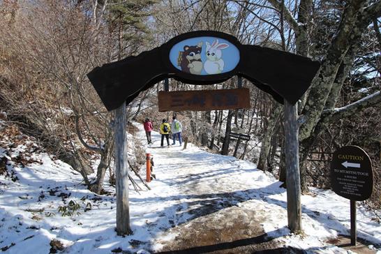 3W8A8737 (Copy).JPG 3W8A8737 (Copy).JPG