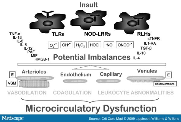 molecular mechanism of sepsis Molecular mechanisms of intensive care unit-acquired weakness s bloch,#, mi polkey#, m griffiths# and p kemp standing of the molecular pathogenesis of icuaw in the of nf-kb(ikb) a possible mechanism for the role of sepsis and inflammation in the upregulation of the up pathway is the. molecular mechanism of sepsis Molecular mechanisms of intensive care unit-acquired weakness s bloch,#, mi polkey#, m griffiths# and p kemp standing of the molecular pathogenesis of icuaw in the of nf-kb(ikb) a possible mechanism for the role of sepsis and inflammation in the upregulation of the up pathway is the.