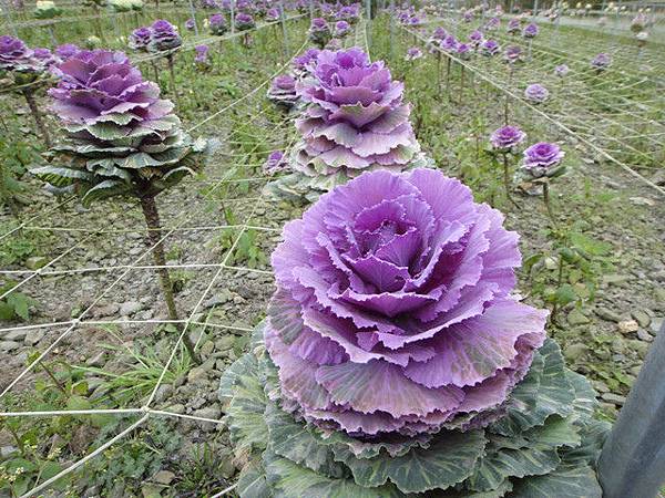 2 1058948802.jpg 2 1058948802.jpg