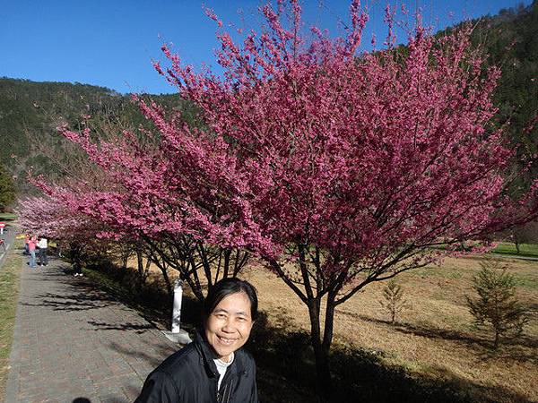 6 1058948811.jpg 6 1058948811.jpg