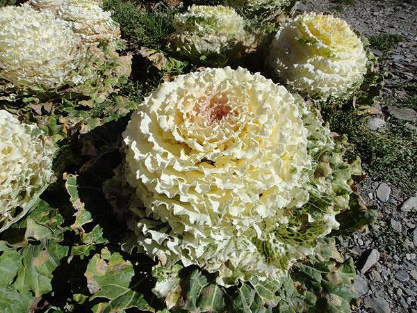 9 058948807.jpg 9 058948807.jpg