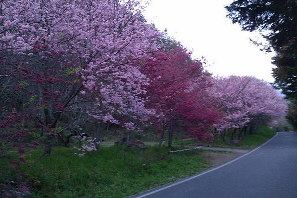 12 058948824.jpg 12 058948824.jpg