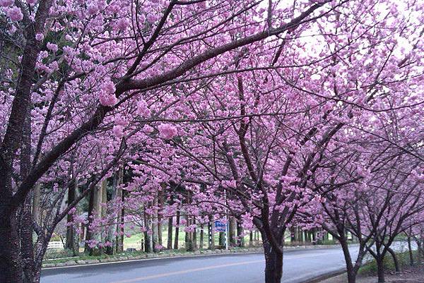 15 058948833.jpg 15 058948833.jpg