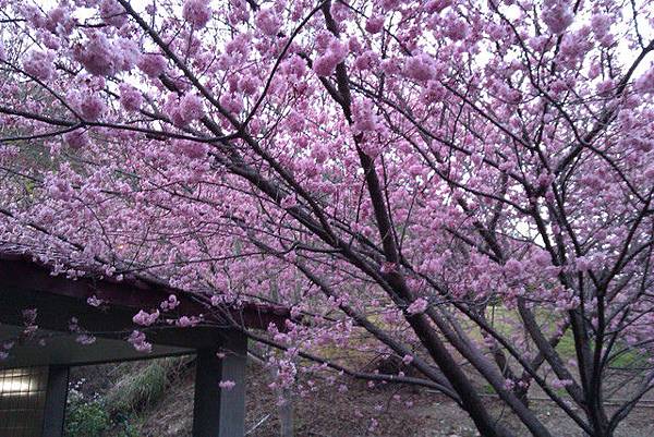 16 058948834.jpg 16 058948834.jpg