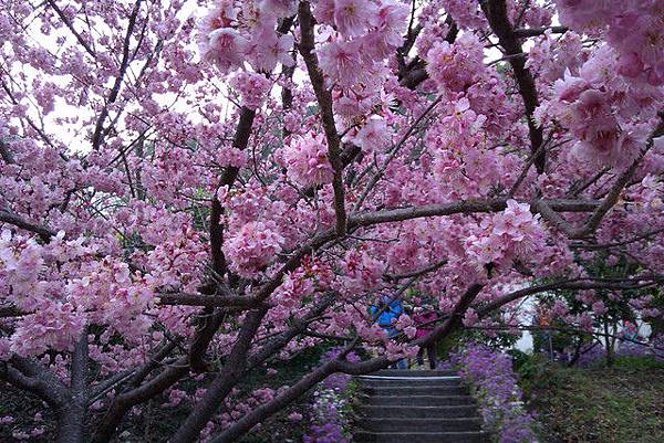 18 058948828.jpg 18 058948828.jpg