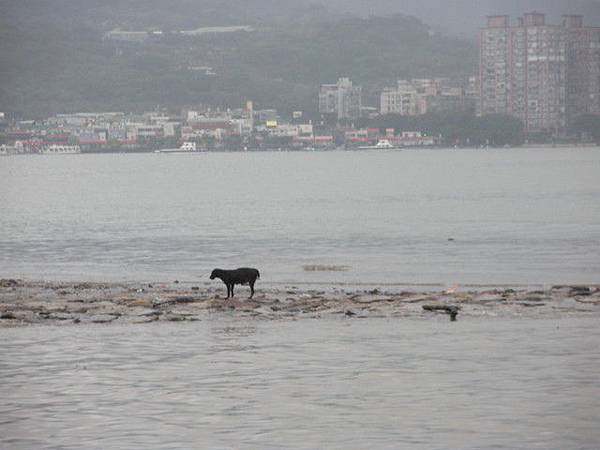 1001183989.jpg 1001183989.jpg