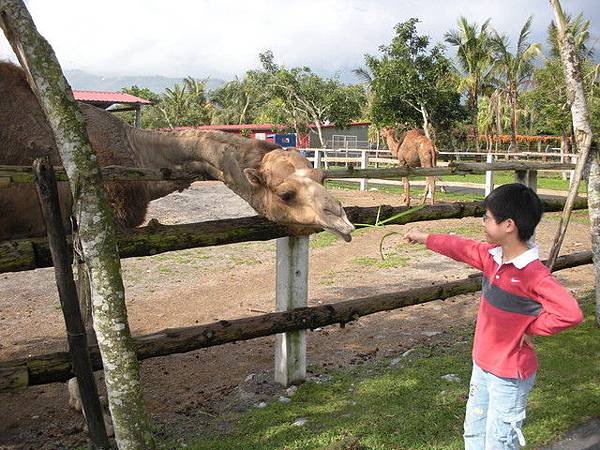 1001191232.jpg 1001191232.jpg