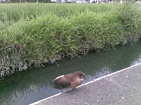 1001209290.jpg 1001209290.jpg