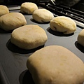 IMG_0146 IMG_0146