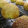 IMG_0147 IMG_0147