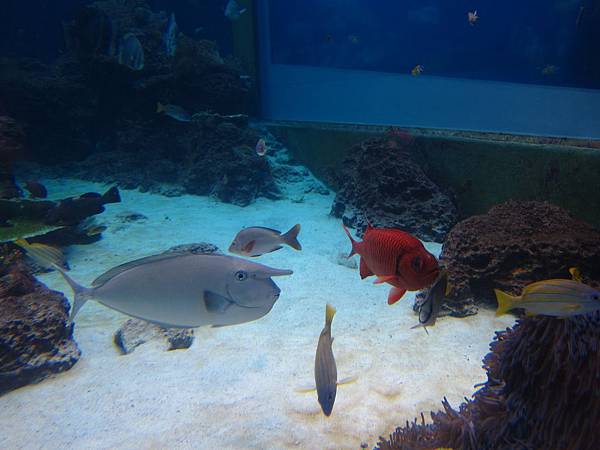 IMG_8031.JPG IMG_8031.JPG