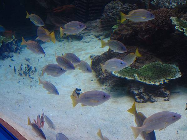IMG_8033.JPG IMG_8033.JPG