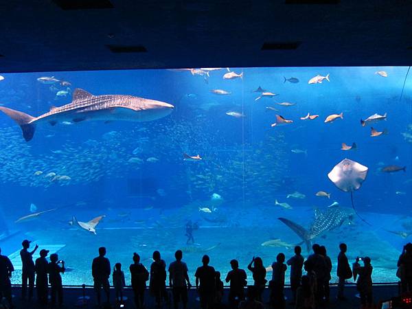 IMG_8101.JPG IMG_8101.JPG