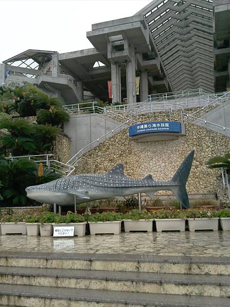 相片0580.jpg 相片0580.jpg