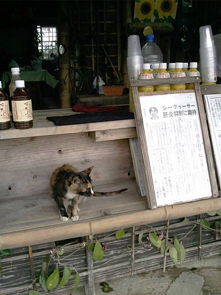 相片0585.jpg 相片0585.jpg